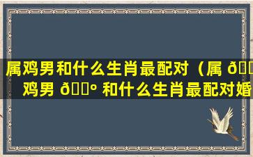 属鸡男和什么生肖最配对（属 💮 鸡男 🌺 和什么生肖最配对婚姻）